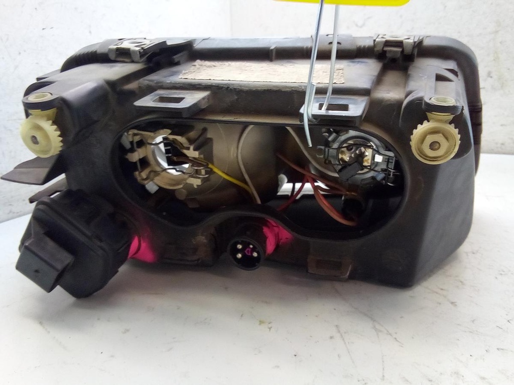 IMG_20220831_111317_041.jpg