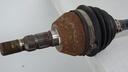 DSC03145.JPG