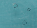 1665753308076478142786062300226.jpg