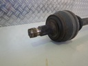 DSCN9745.JPG