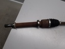 20221108_080311.jpg
