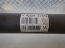 DSCN9809.JPG