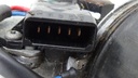 DSC09231.JPG