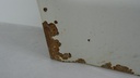 DSC09314.JPG