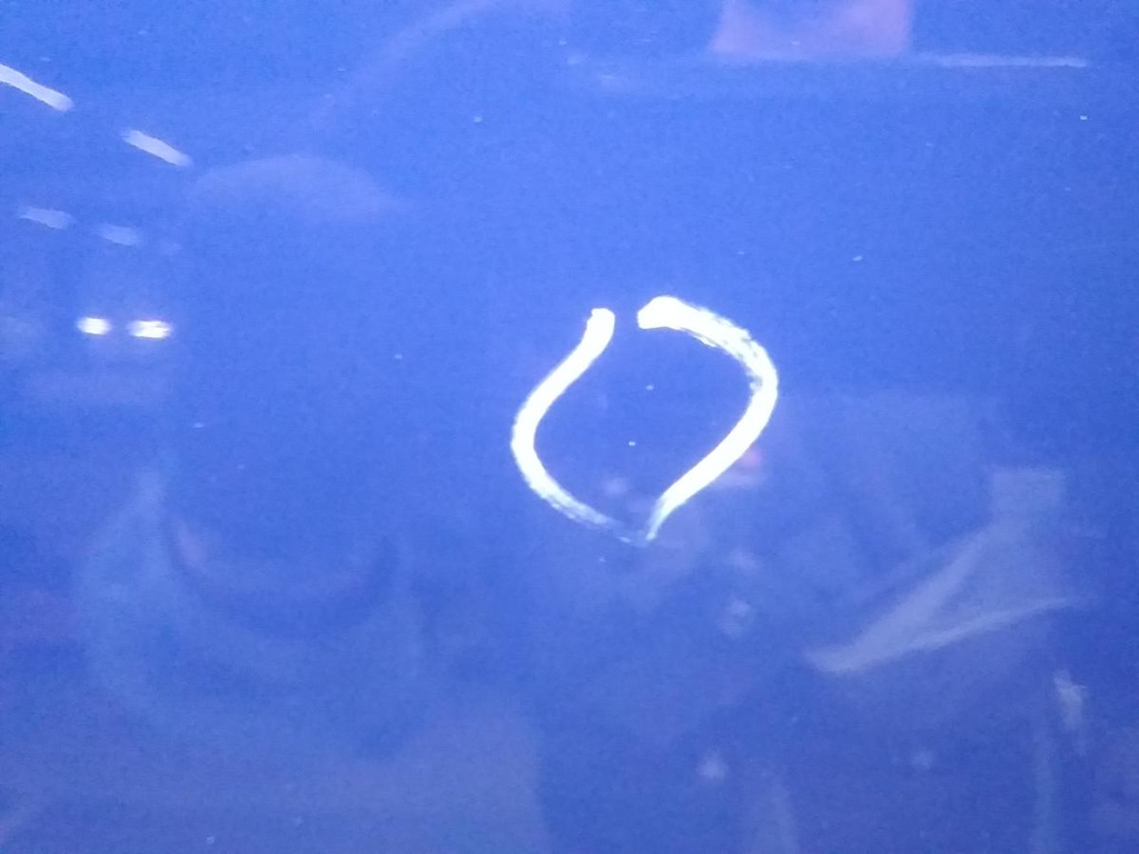 16698247442754233750385441752562.jpg