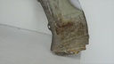 DSC00355.JPG
