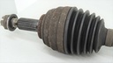 DSC00920.JPG