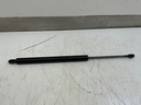 599_1.jpg