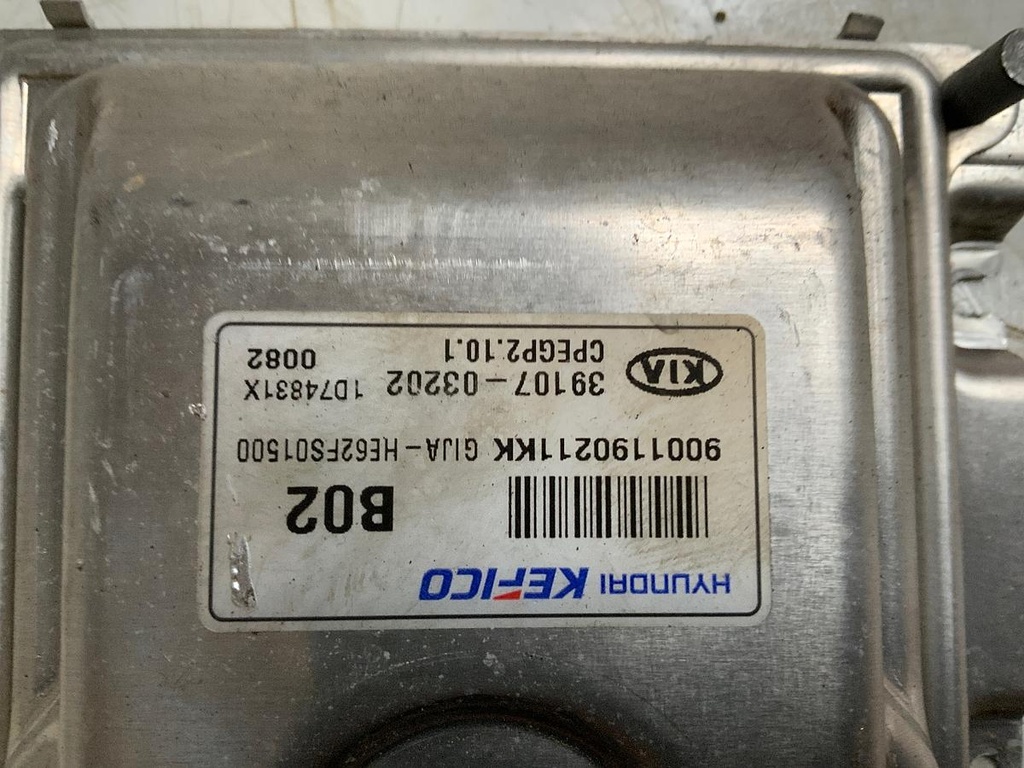 2534_4.jpg