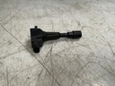3915_1.jpg