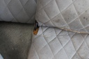 IMG_6711.JPG