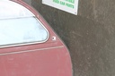 IMG_7077.JPG