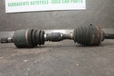 IMG_8317.JPG