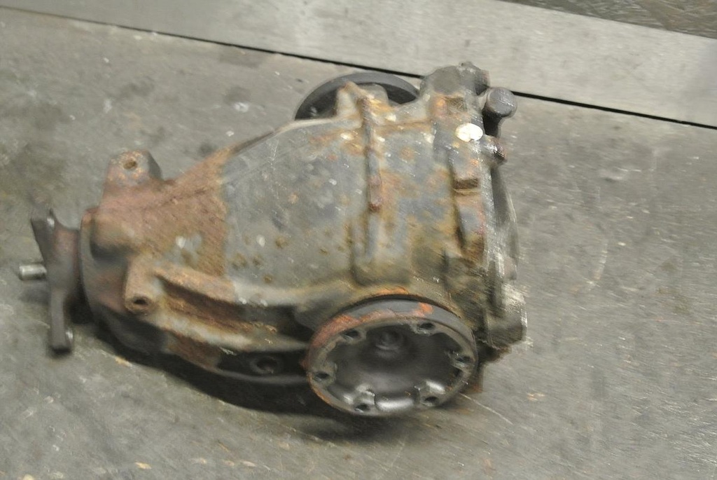 DSC_1172.JPG