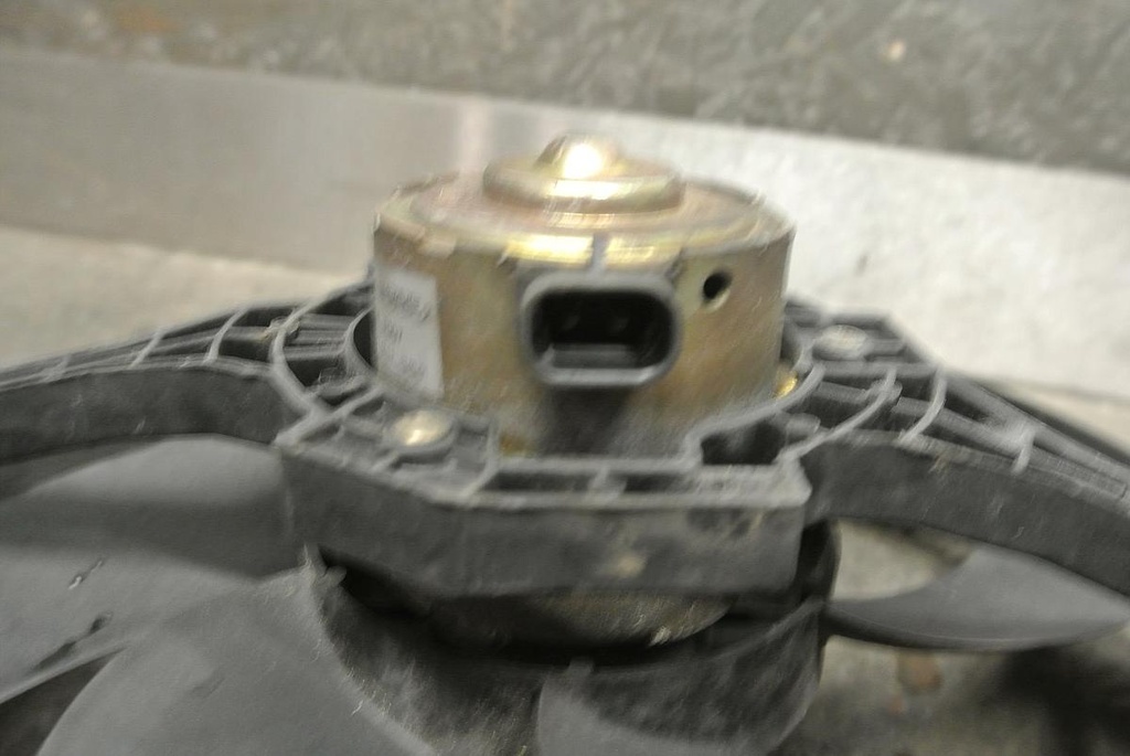 DSC_6929.JPG