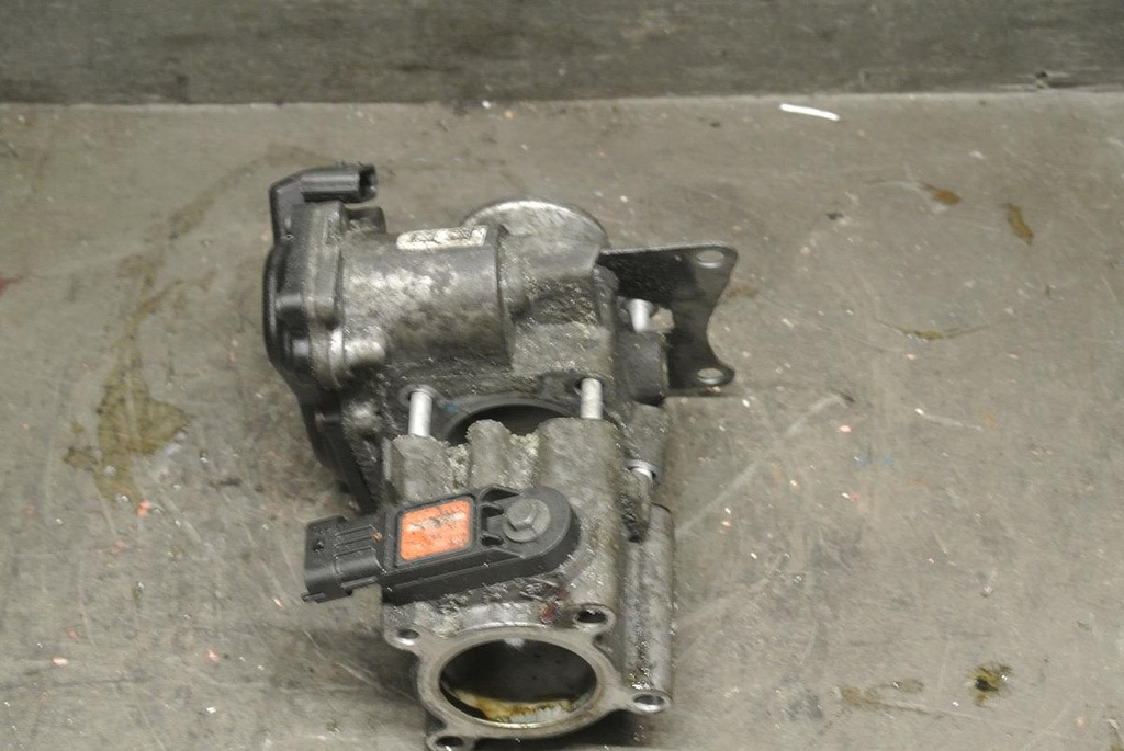 DSC_7427.JPG
