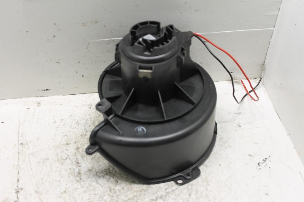 IMG_2546.JPG
