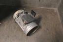 DSC_4877.JPG