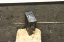 IMG_4489.JPG