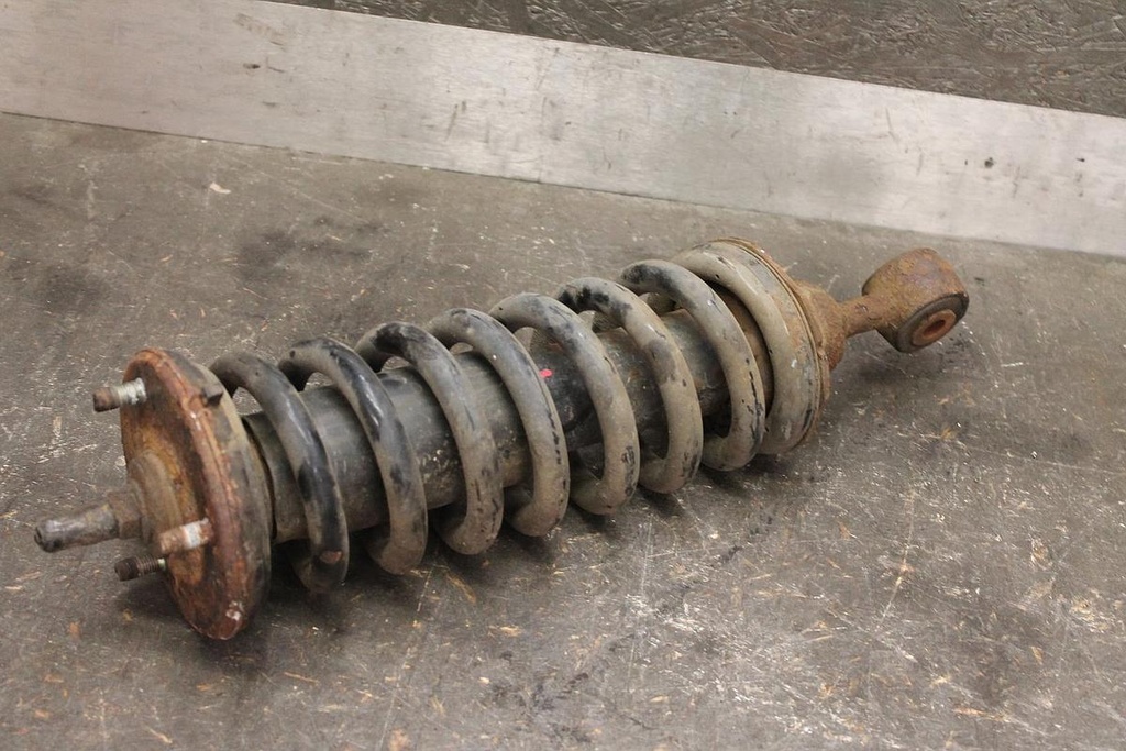IMG_1464.JPG