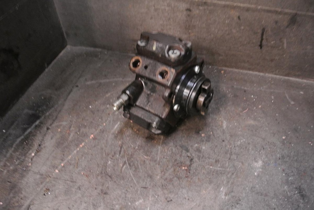 DSC_5550.JPG