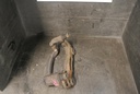 DSC_4814.JPG