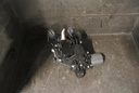 DSC_5722.JPG