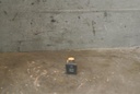 DSC_1544.JPG