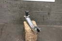 f2415683.jpg
