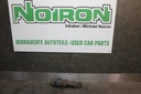 IMG_7874.JPG