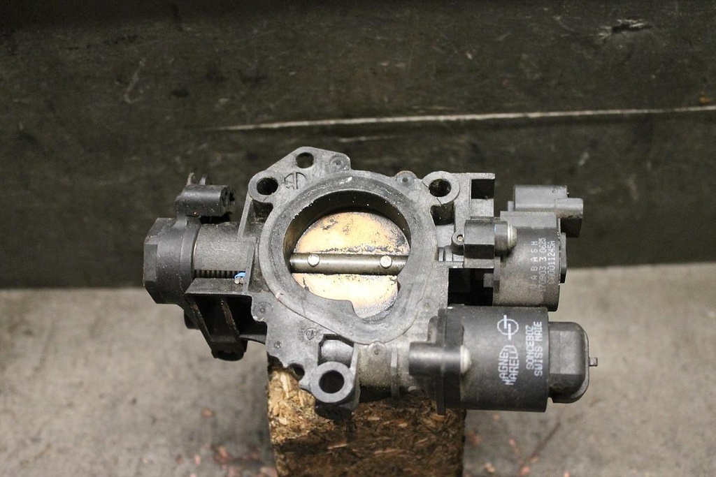 IMG_7049.JPG