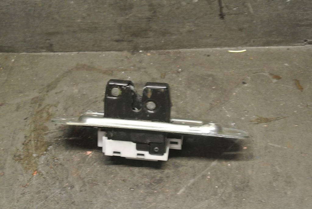 DSC_7613.JPG