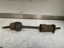 3034.jpg