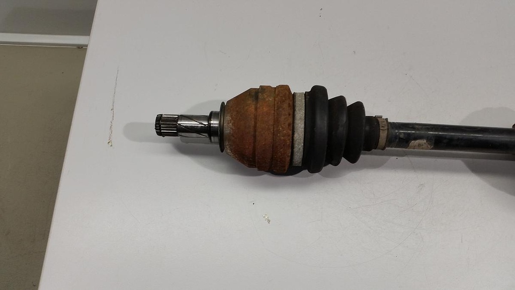 20221229_125717.jpg