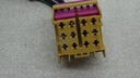 DSC01350.JPG