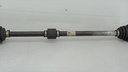 DSC00956.JPG