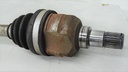 DSC00955.JPG