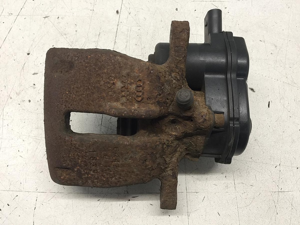 IMG_6239.JPG
