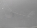 16739598077807282130117254565514.jpg