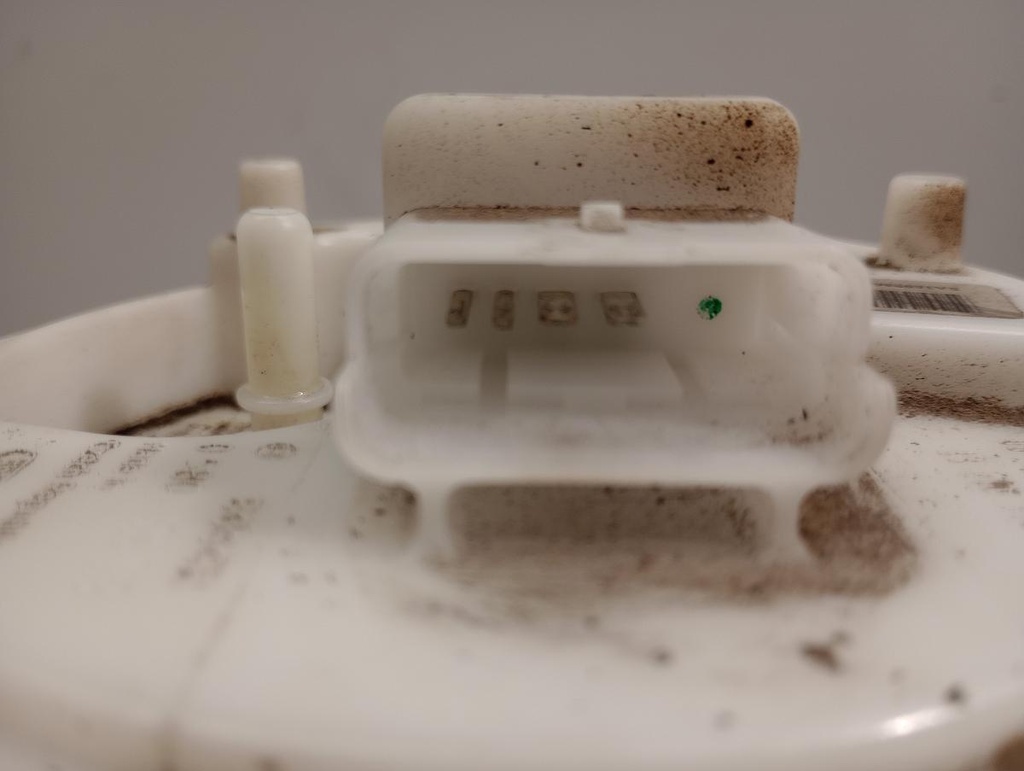 IMG_20230202_124445015.jpg