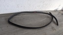 PXL_20230204_094621266.jpg