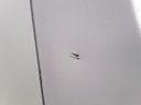 20230213_081645.jpg