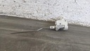 PXL_20230224_092614400.jpg