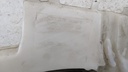 PXL_20230307_092129677.jpg