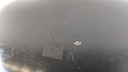 PXL_20230314_115101293.jpg