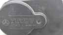 DSC08978.JPG