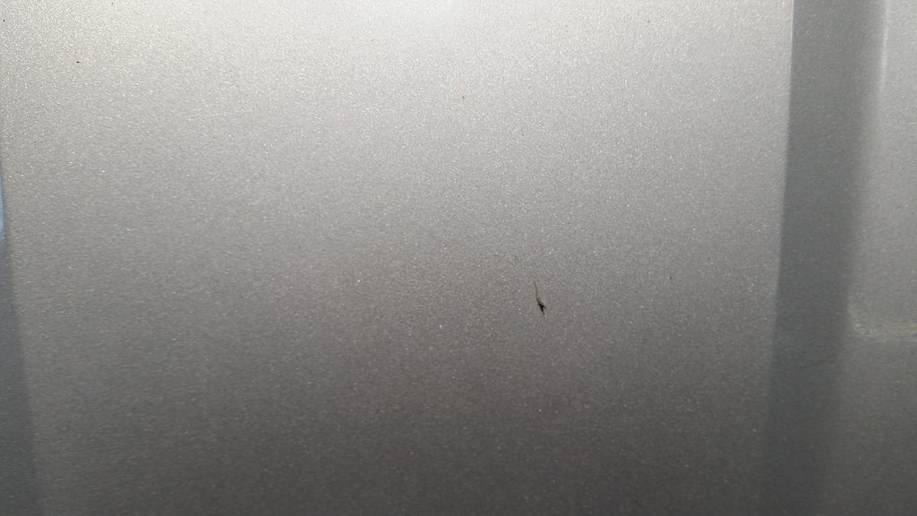 20230321_090806.jpg
