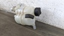 PXL_20230327_123019784.jpg