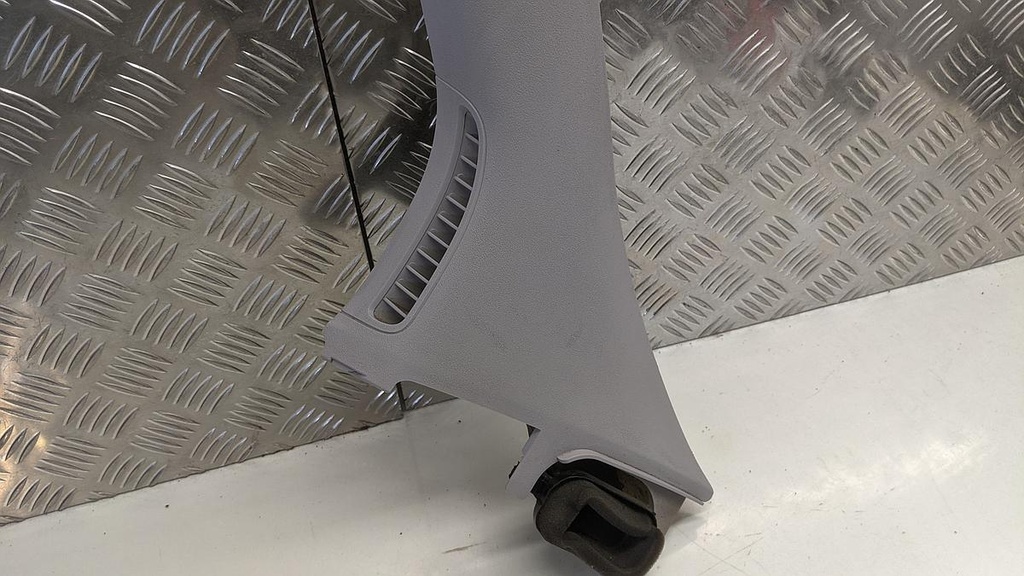 PXL_20230331_114056944.jpg