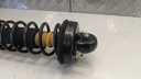 PXL_20230404_072601711.jpg